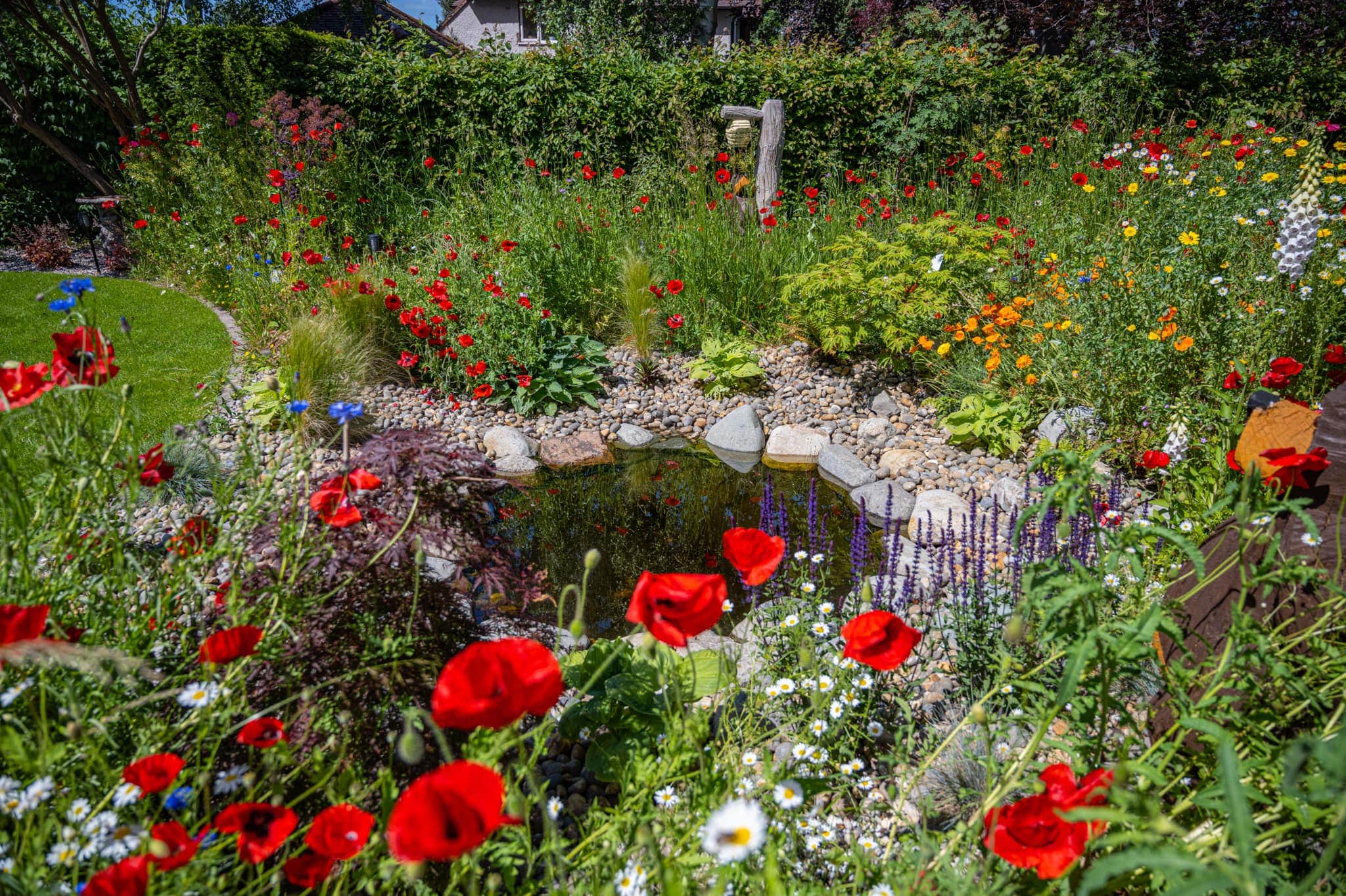 Garden Design - Hensser - small pond in garden flower bed