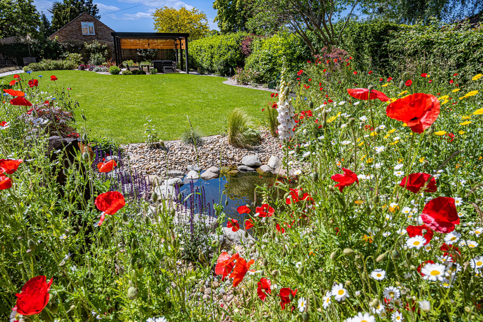 Garden Design - Hensser - full garden shot from pond