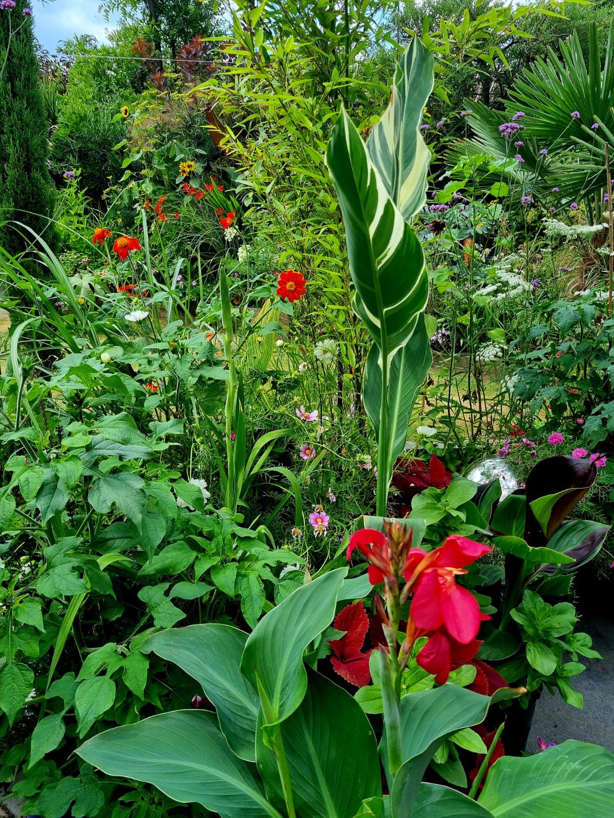 Garden Design - Turner - green flower bed with red flowers