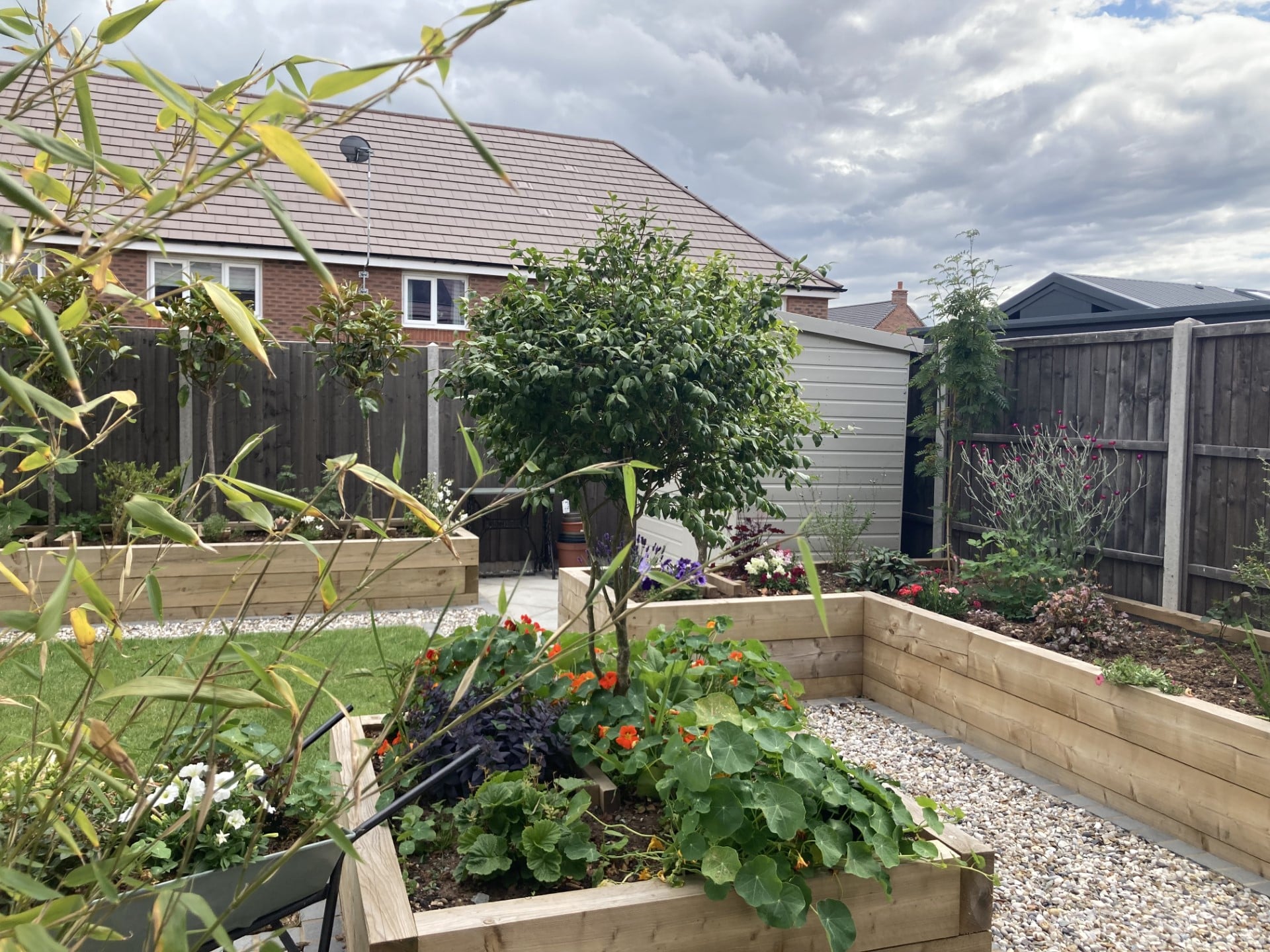 Cottage Garden in Suburbia Case Study - After - raised beds and shed