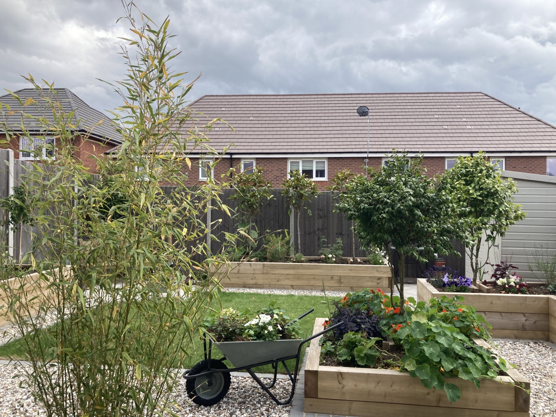 Cottage Garden in Suburbia - After Shot of complete garden with plants in wheel barrow