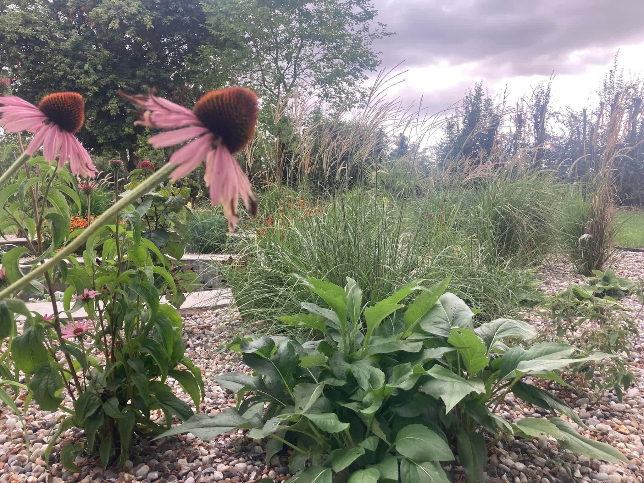 The Old Orchard - After - Pinvin Pond flower beds