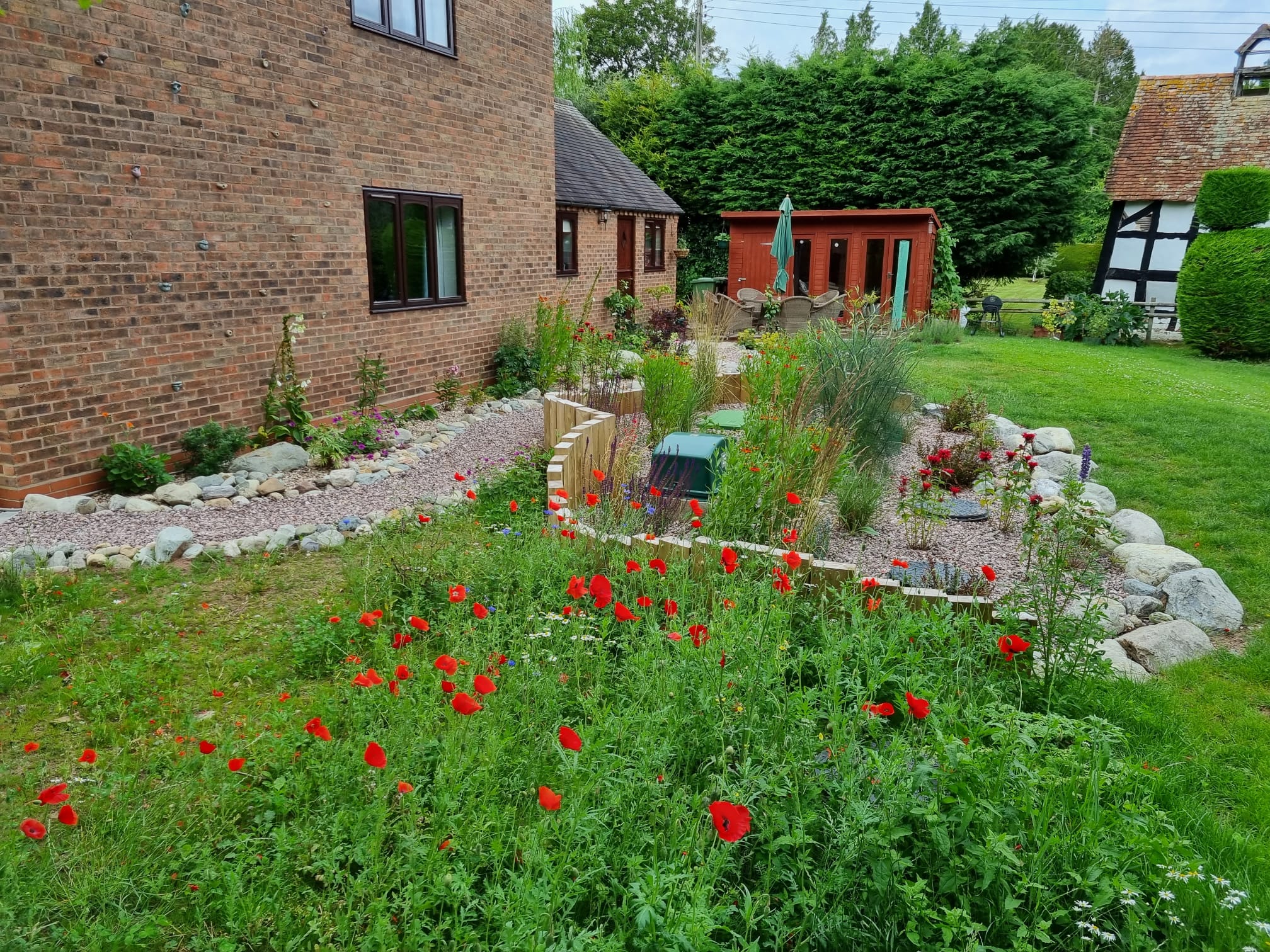 Roberts garden design - stoned flower bed and planted poppies