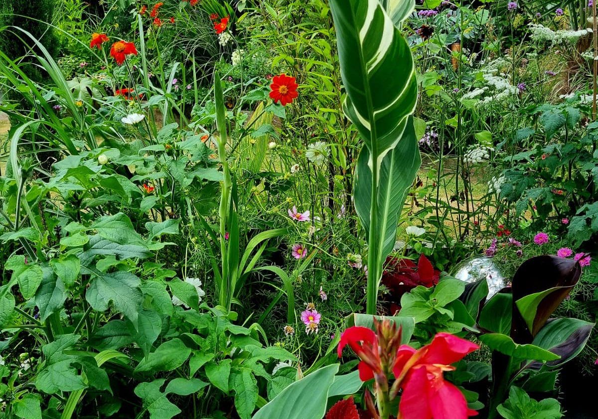 Garden Design - Turner - green flower bed with red flowers